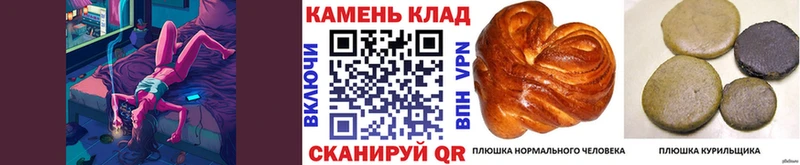 Купить где  Бутурлиновка  ГАШИШ 40% ТГК 