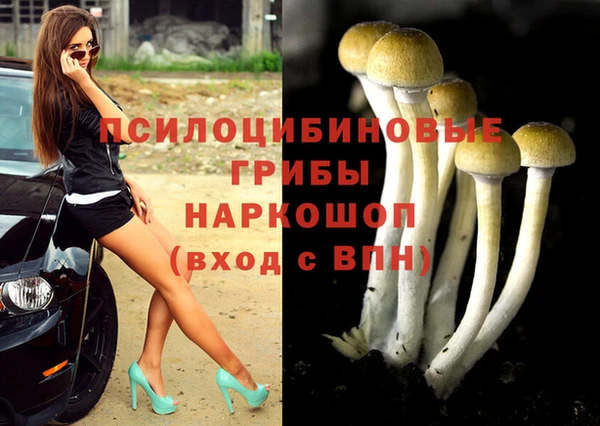 дживик Ростов