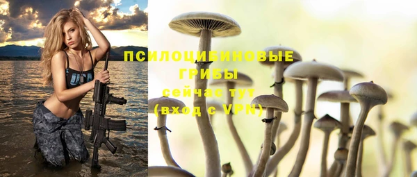 герыч Корсаков